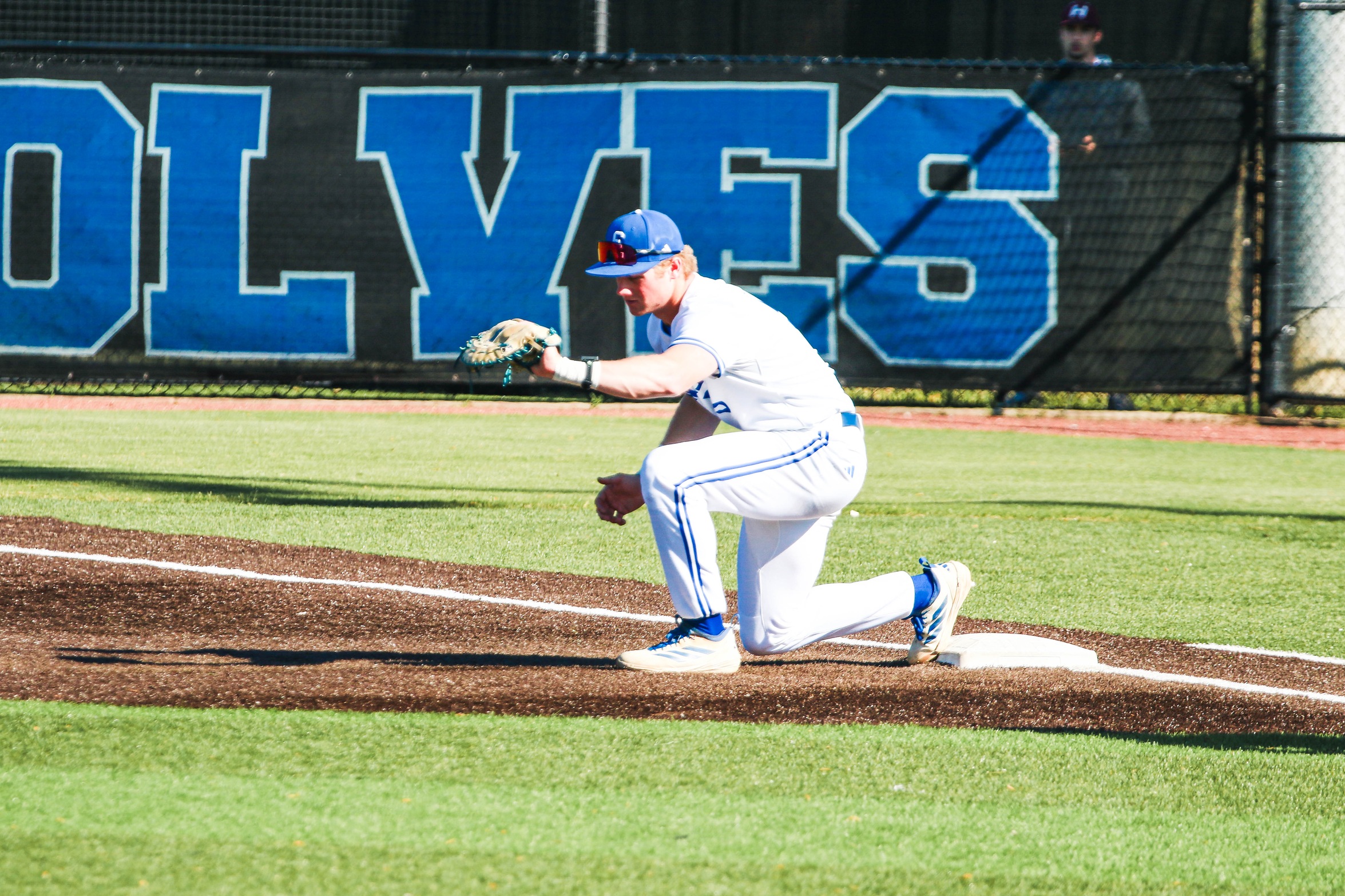 Wolves Split Against Tigers