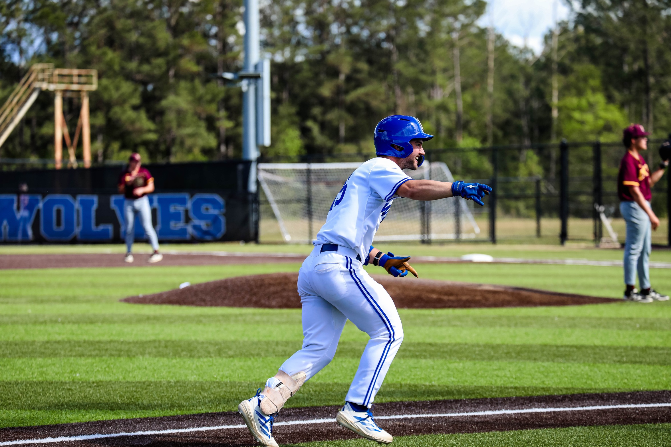 Wolves Split with Second Ranked Wildcats