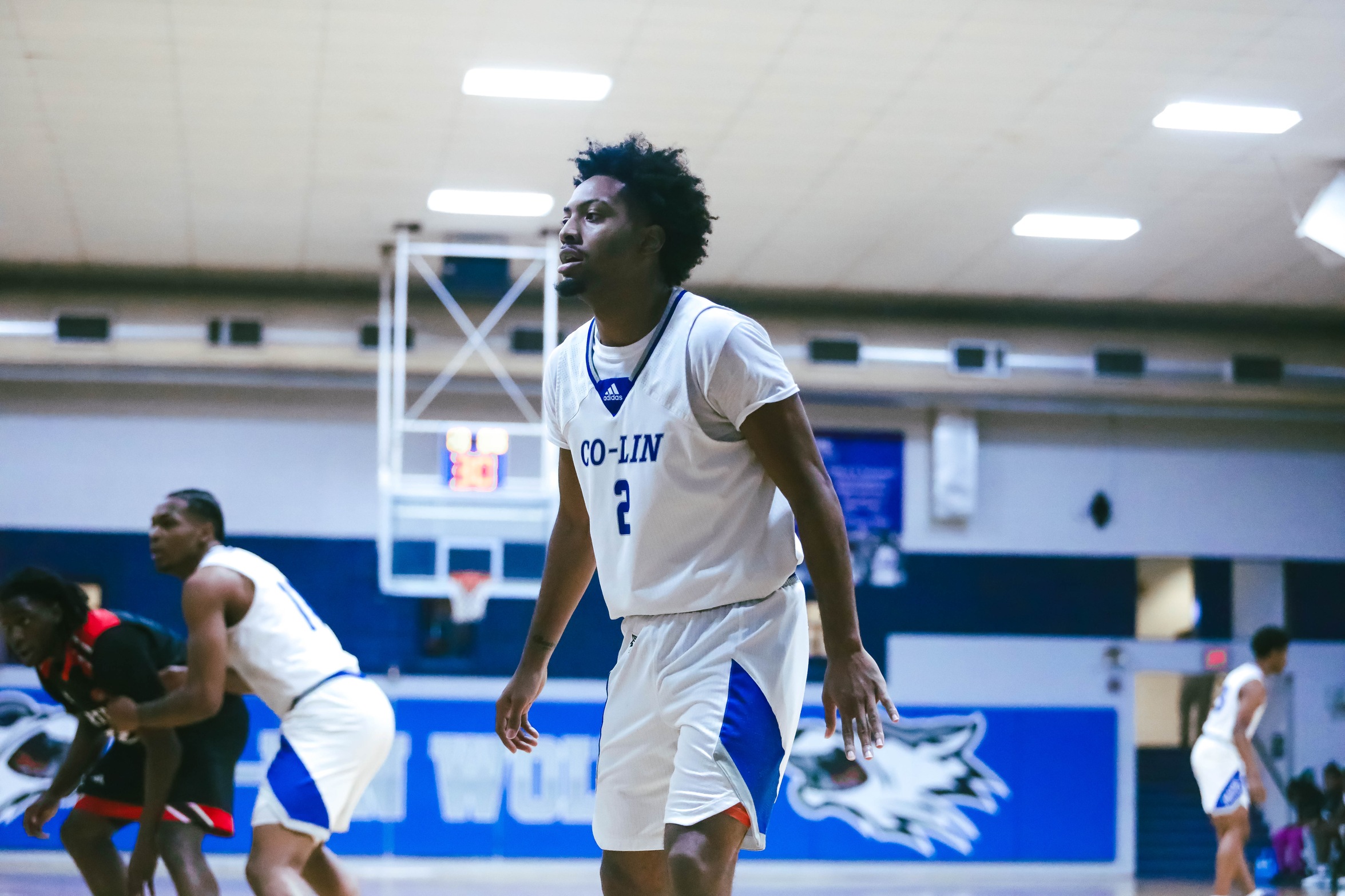 Wolves Drop Game Against Tigers