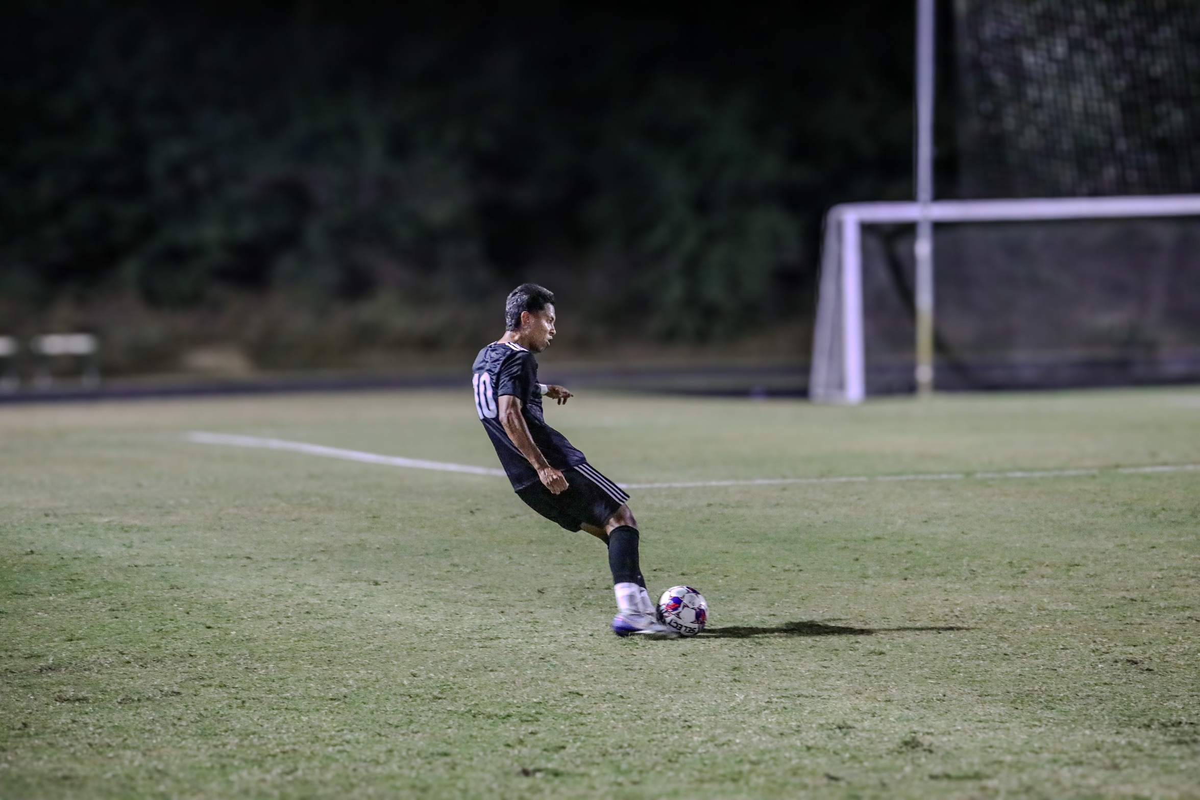Wolves Upended by Nighthawks