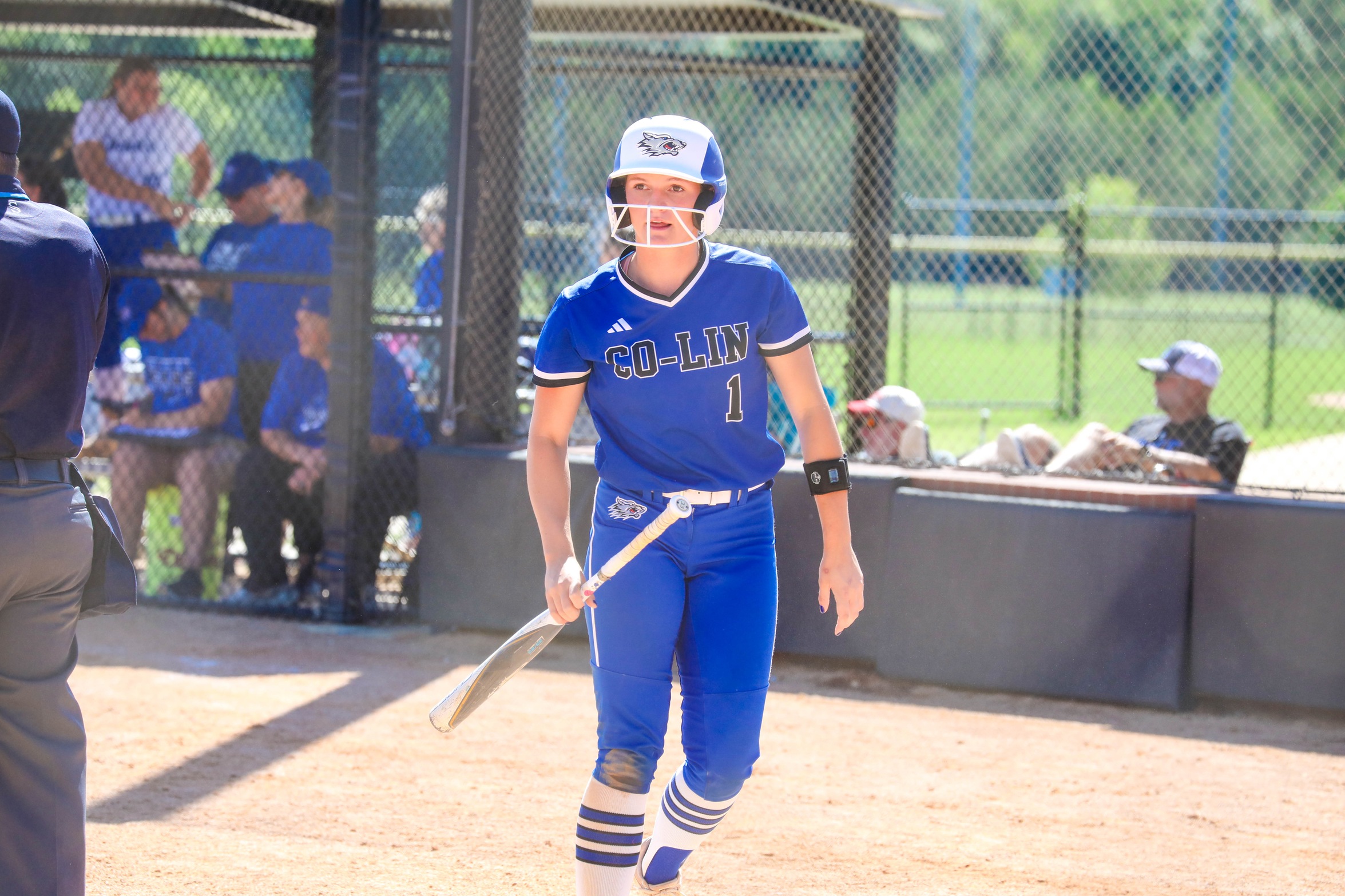 Lady Wolves Dominate Bears to Advance in National Tournament