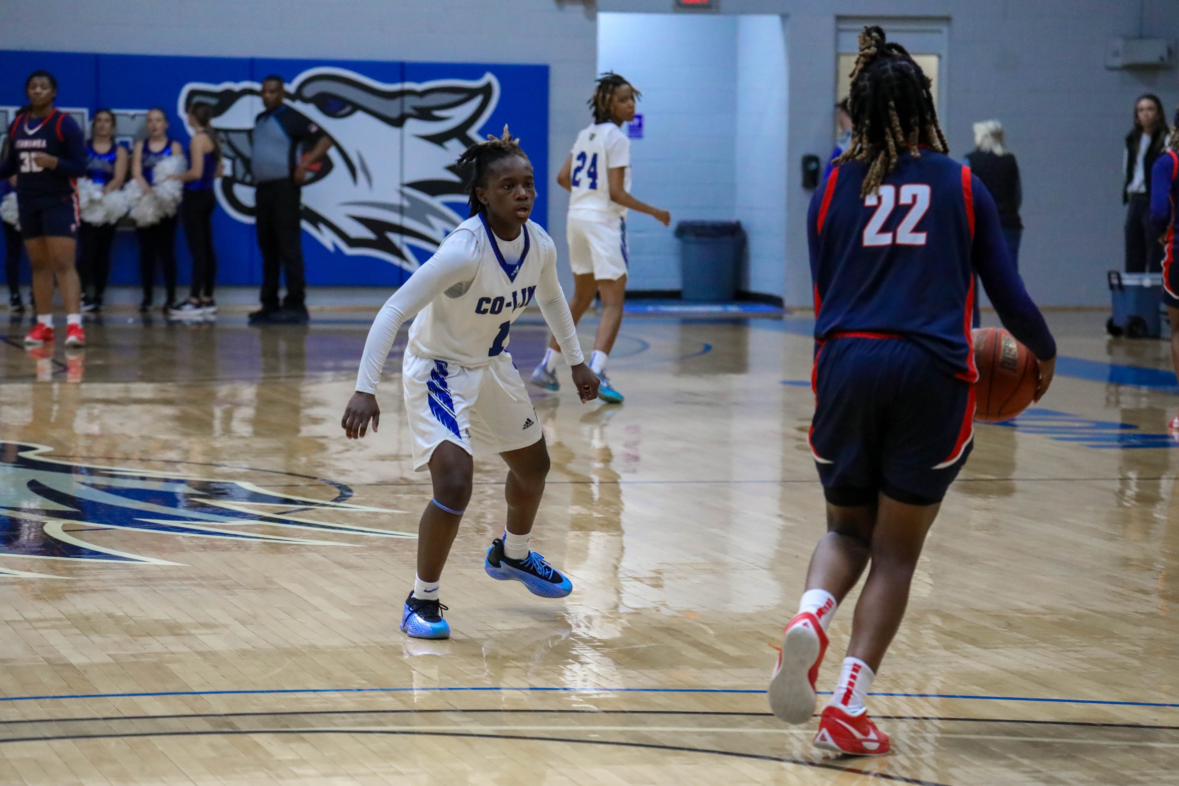 Co-Lin vs. ICC 2/24/2025