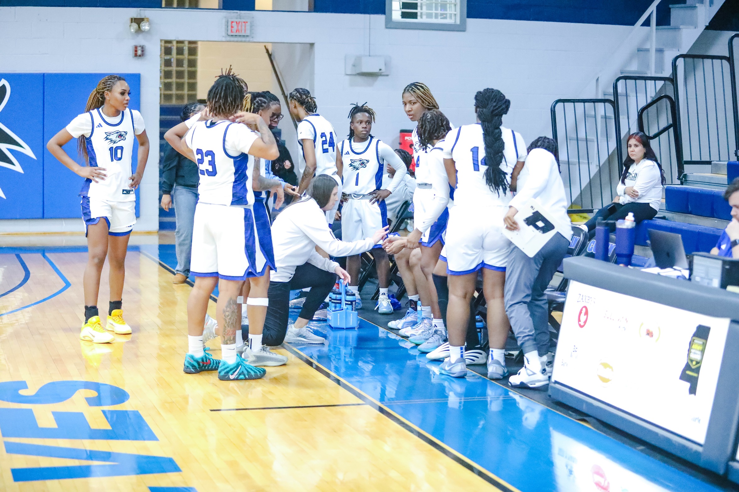 Lady Wolves Season Ends in Region 23 Quarterfinals