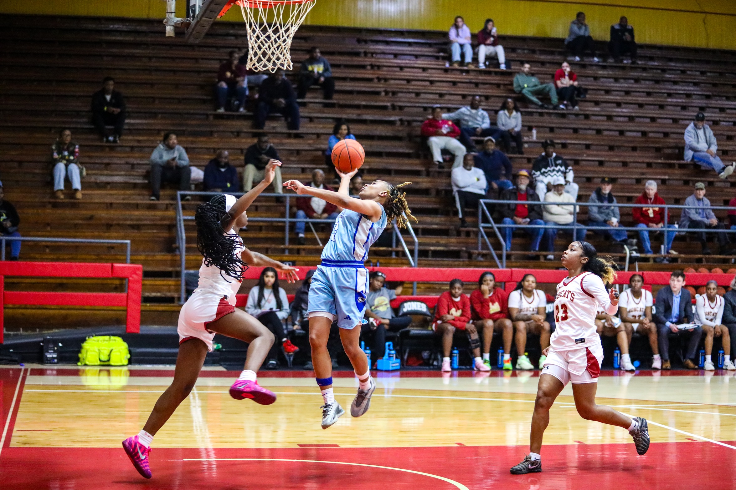 Lady Wolves Drop Road Game Against Bobcats