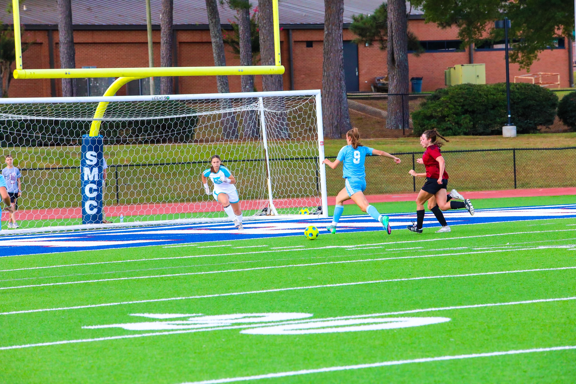 Lady Wolves Blitz Nighthawks